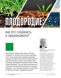 Сорта огурцов для засолки и консервирования