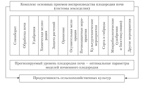 Теневыносливые и холодостойкие огурцы для открытого грунта