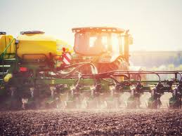 Баклажан икорный f1: описание, отзывы, фото