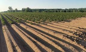 Снегоуборщик для мотоблока салют