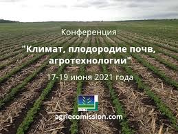 Персики: рецепты на зиму, заготовки, что приготовить на зиму, целые, переспелые, недозрелые, как сохранить на зиму.