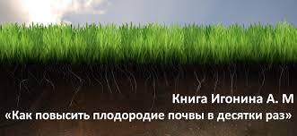 Фейхоа: полезные свойства и противопоказания