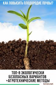 Томат грушовка: характеристика и описание сорта