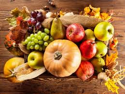 Почему гибнут огурцы в теплице