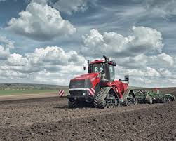 Плохо растет рассада петунии