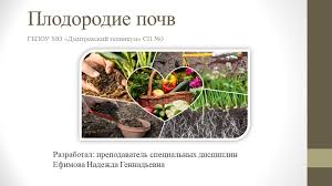 Подготовка картофеля к хранению 