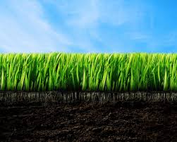 Инвертированный сироп для пчел: рецепт с добавлением меда, лимонной кислоты, как приготовить своими руками