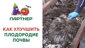 Электротяпка gloria brill gardenboy plus